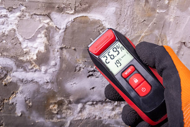 Best Professional Mold Removal  in Collinsburg, PA