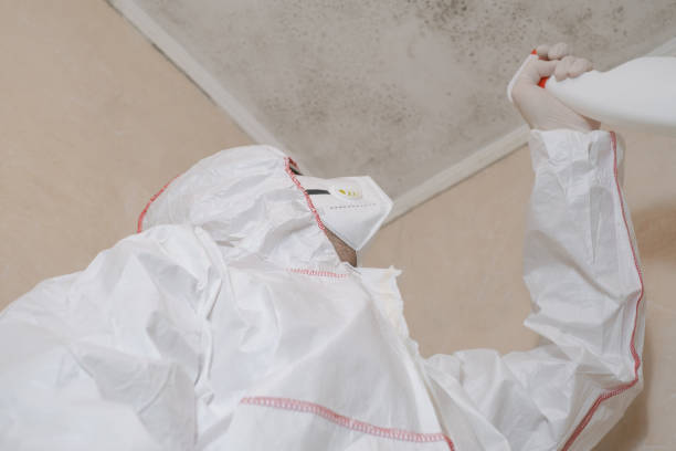Best Professional Mold Removal  in Collinsburg, PA